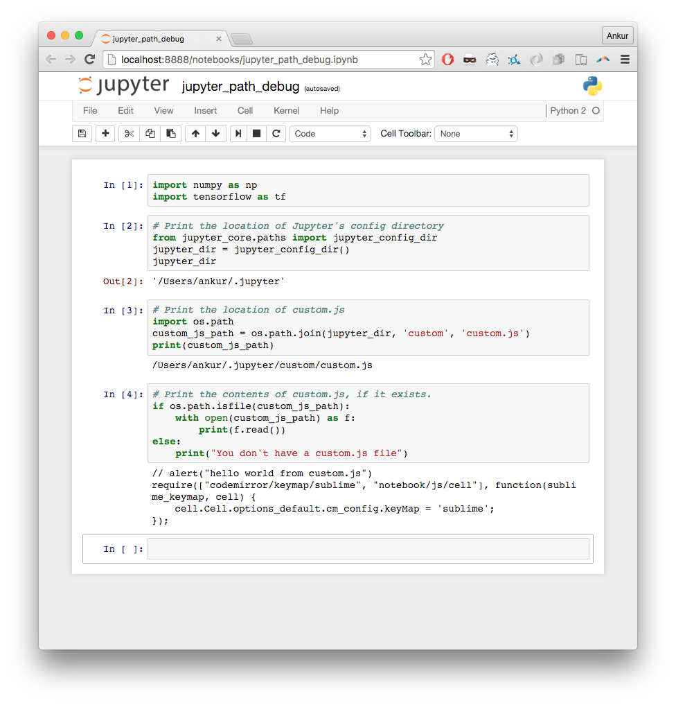 Jupyter Notebook running Python